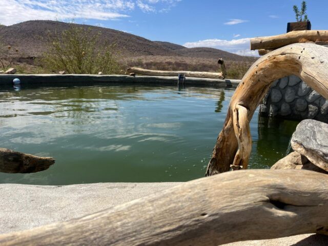 Daybreak_Salzwasser_Pool_2