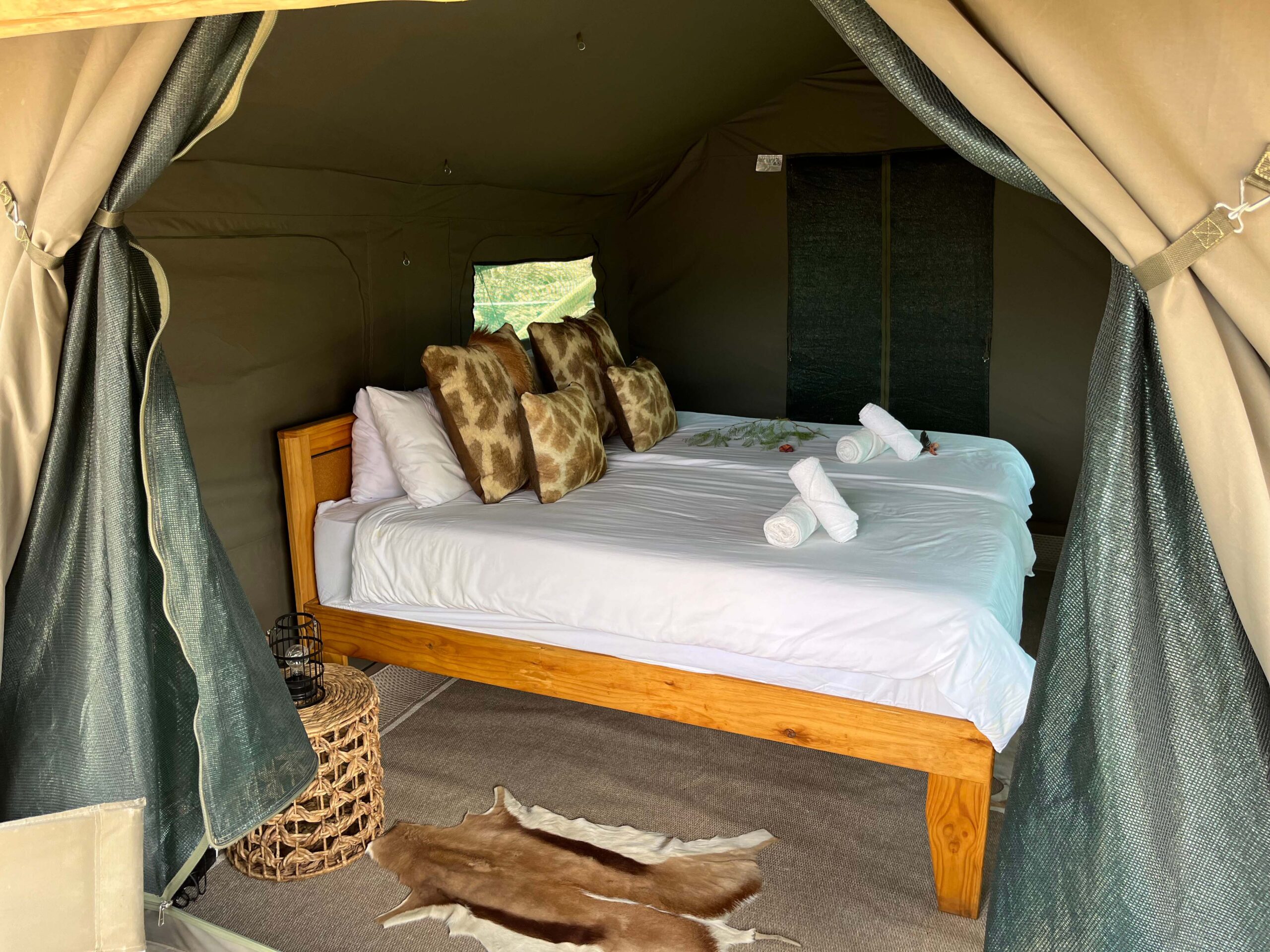Luxury safari tent on the ridge